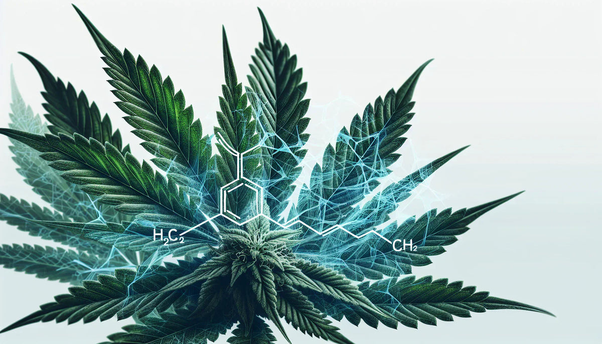 Battle of Cannabinoids: THCa vs Delta 8 – Which is Stronger?