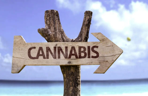 The Best Delta 8 Carts for Relaxation