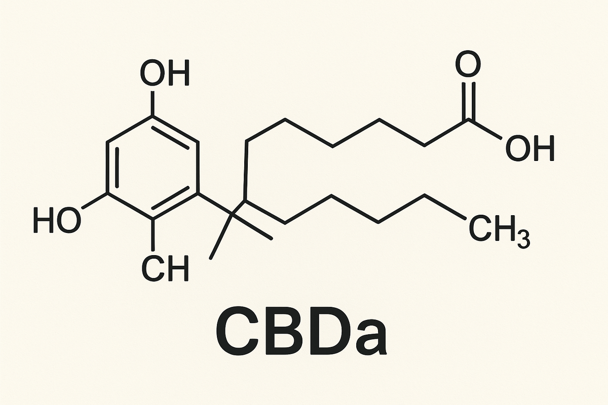 What is CBDa (Cannabidiolic Acid)?