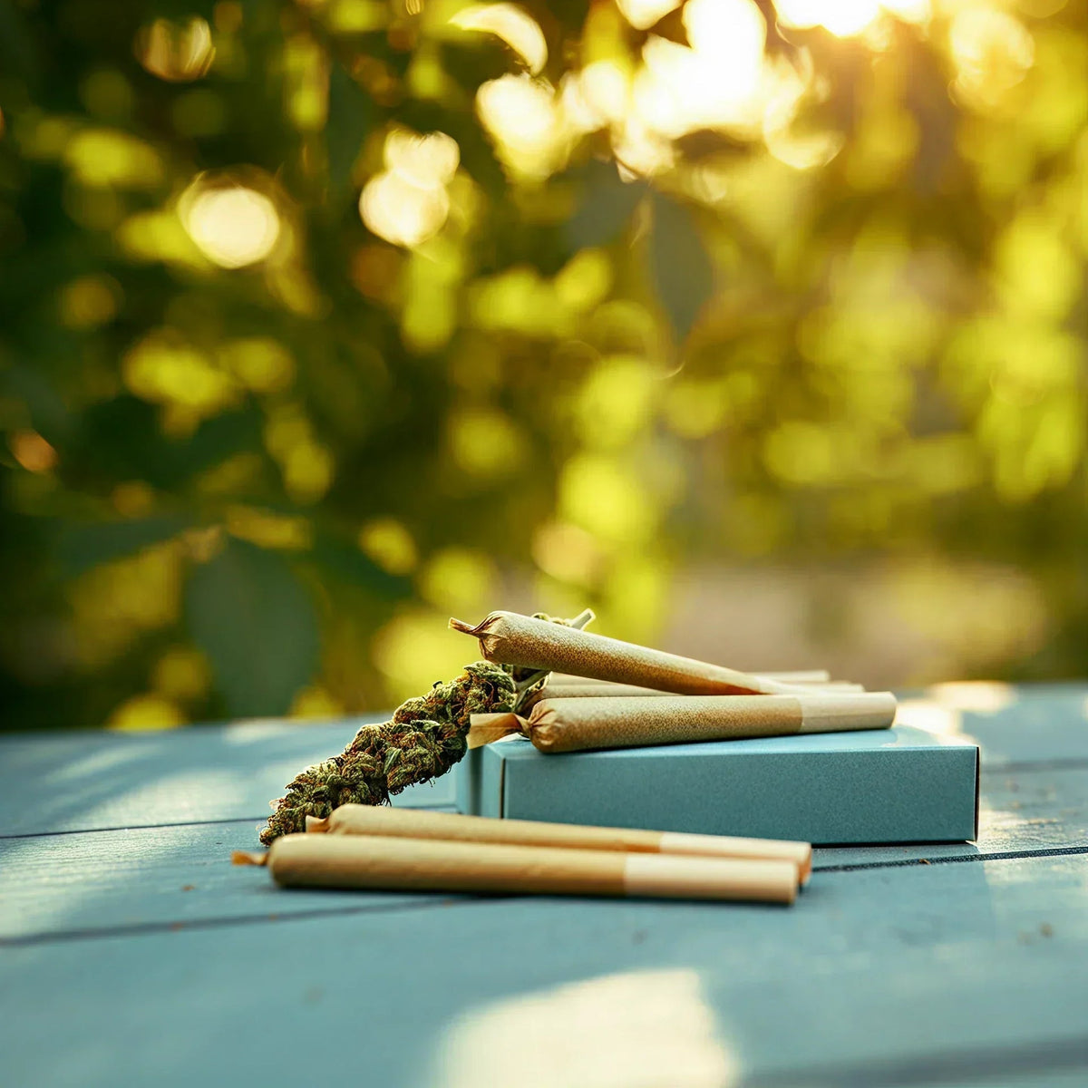 Celebrate Summer with Convenient THCa Prerolls