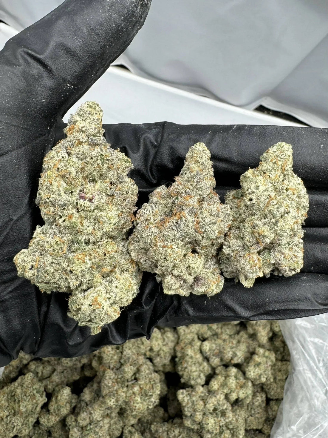 Best THCa Flower Strains to Try in 2025