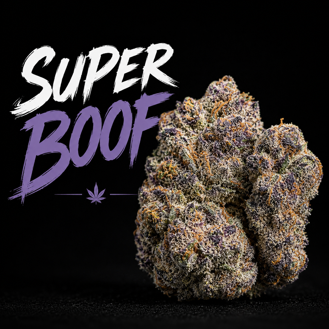 Super Boof Strain: Inside Our High-Potency THCa Flower
