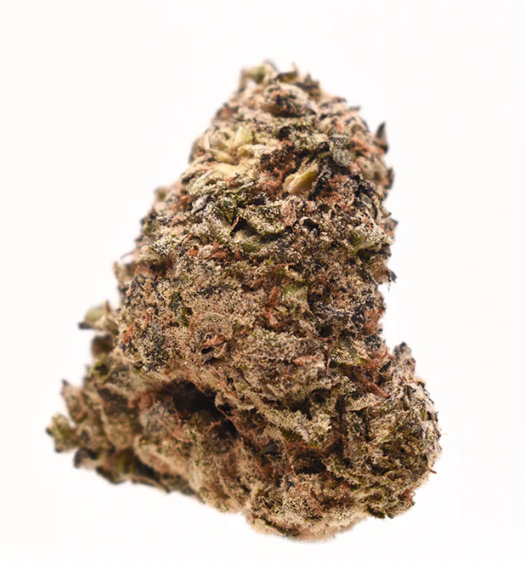 Panama Red Strain: Why This Vintage Sativa Belongs in Your 2026 Stash