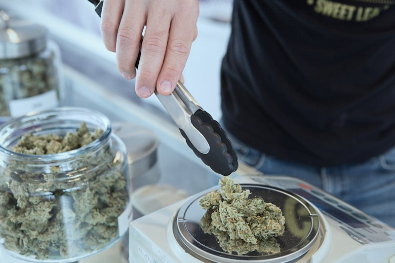 The Unique Appeal of Exotic THCa Flower
