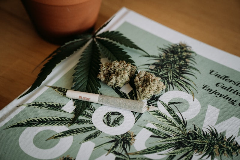 Discover the Best THCA Flower Strains