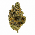 White Bubblegum Gelato