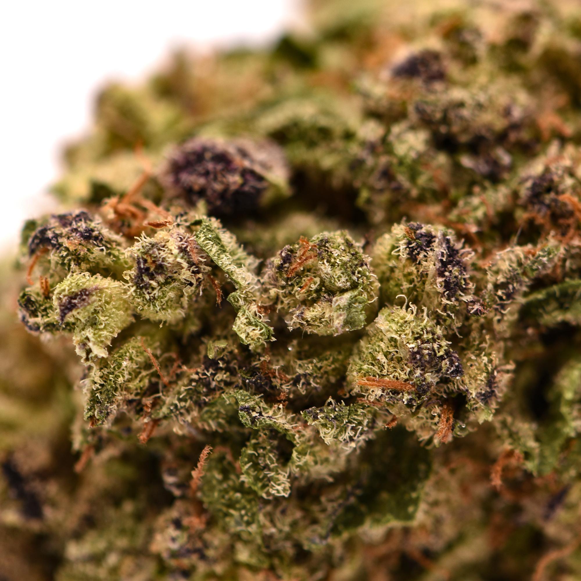 Lava Cake THCa Flower